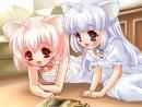Id-urile voastre - mai am un id cristinutz0_piticutz0 - :) Noi :)