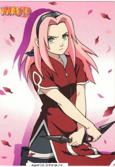 3 sakura