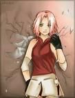 9 sakura