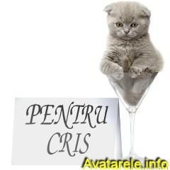 heyo! (^.^)/ - salut am:14 ani sunt din imi place culoarea - :) Nou veniti :)